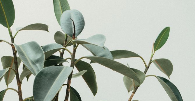 Ice Or Heat, Which Is Better When You're Hurt?