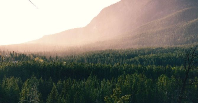 The Importance of Spinal Health for Overall Wellness